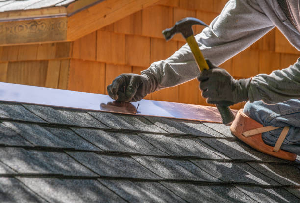 Best Roof Moss and Algae Removal  in Monrovia, MD