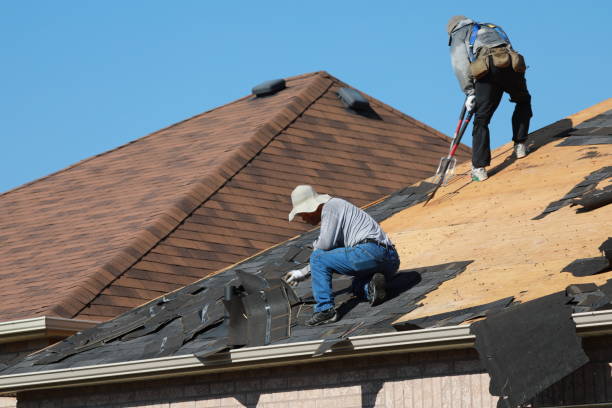 Best Skylight Installation and Repair  in Monrovia, MD